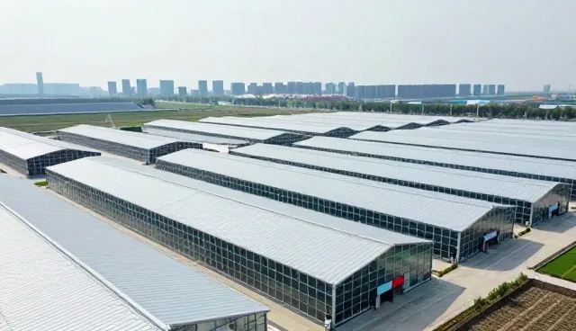 立足本地的数字化实践:企业黄页展示如何赋能本地经济